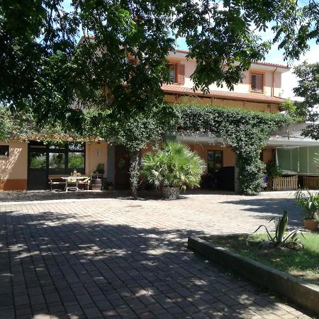 Guesthouse Skofije Ob Parenzani Spodnje Skofije Εξωτερικό φωτογραφία
