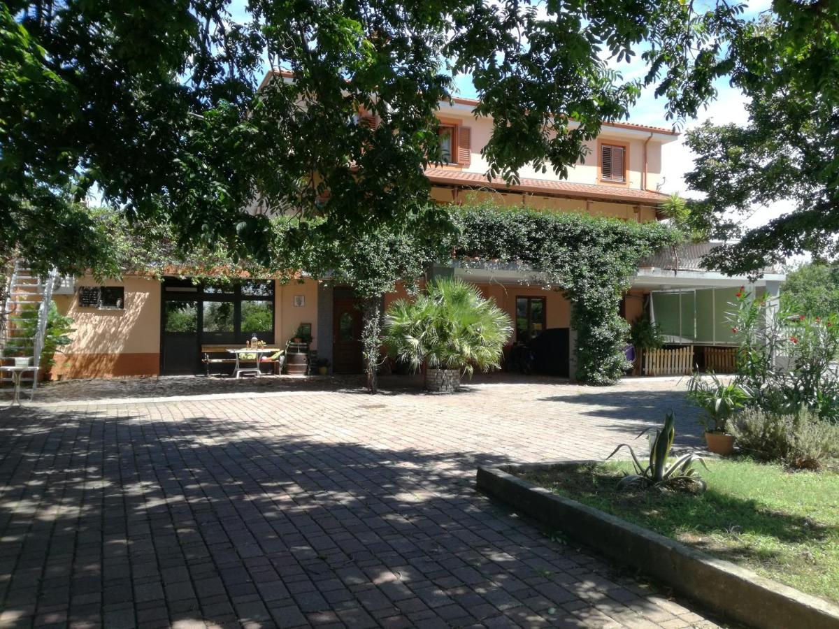 Guesthouse Skofije Ob Parenzani Spodnje Skofije Εξωτερικό φωτογραφία