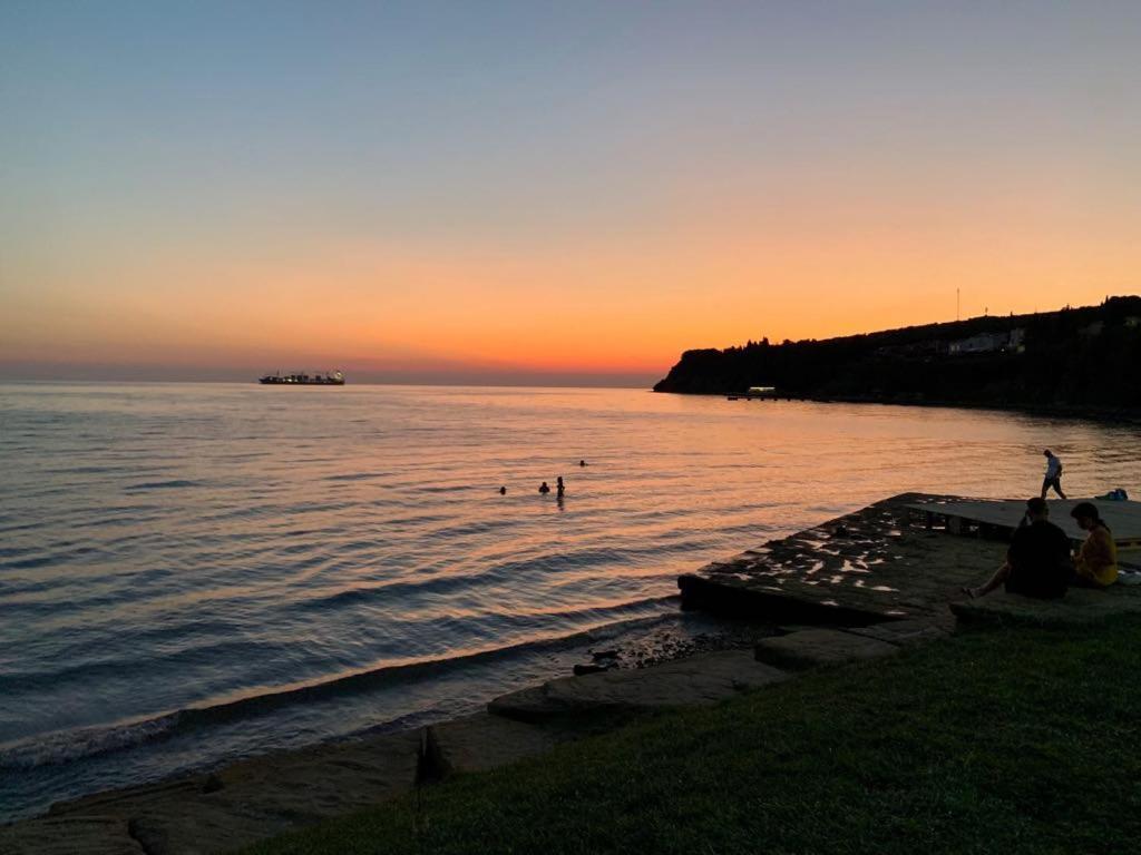 Guesthouse Skofije Ob Parenzani Spodnje Skofije Εξωτερικό φωτογραφία